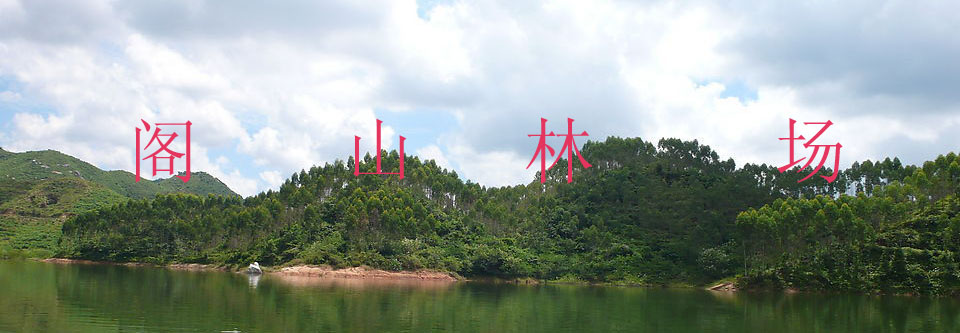 ����ͼƬ��